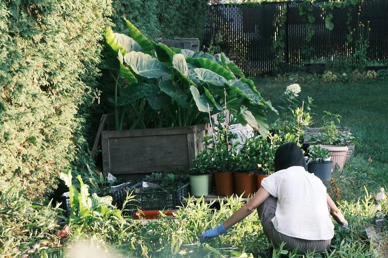 Tips for Creating a Sustainable Home Garden All Year Round